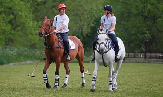 polo_pic_main